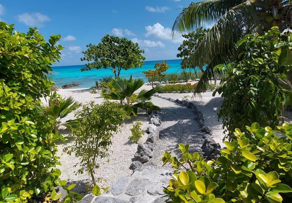 Pension Tiputa Lodge Rangiroa Exterior photo